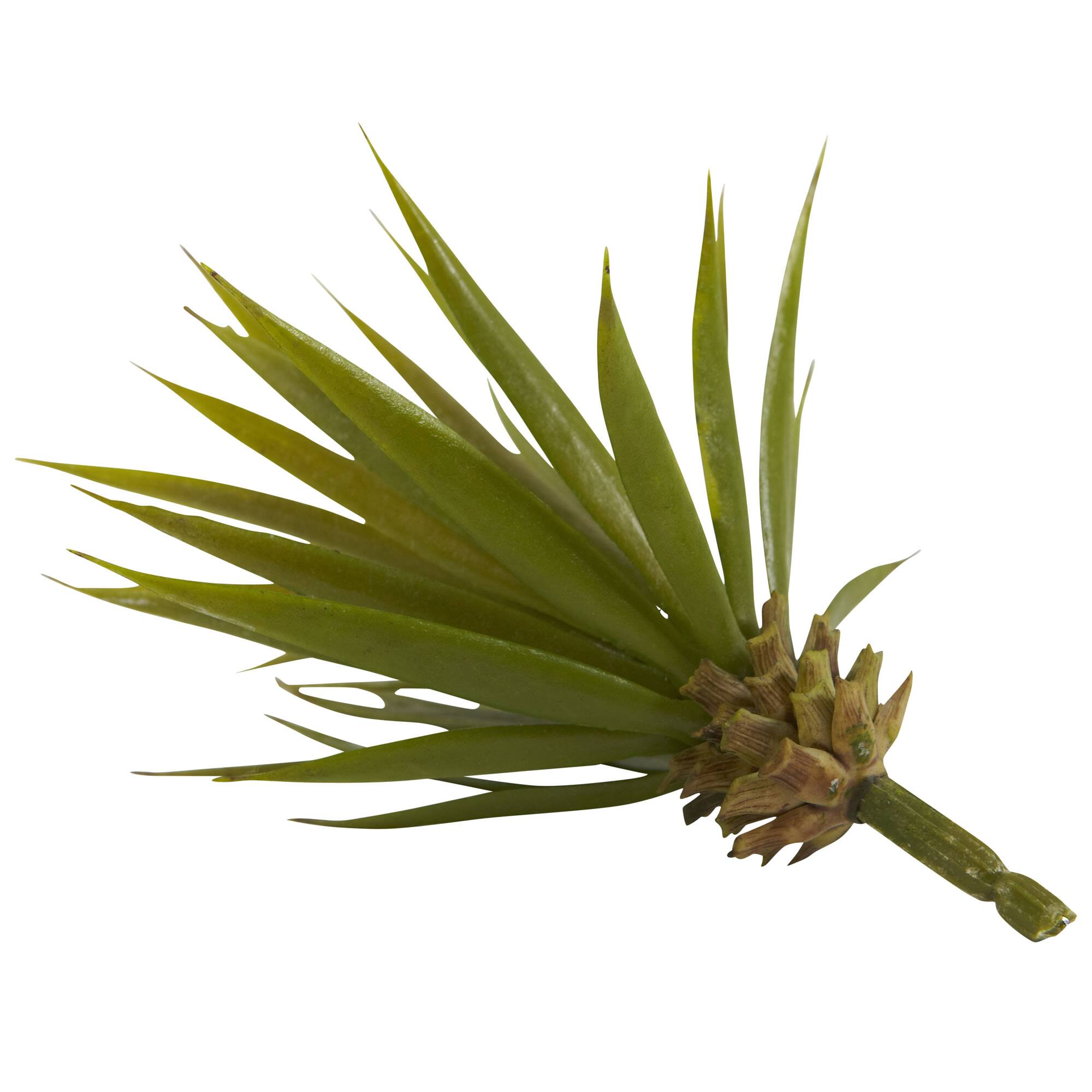 Spiky Agave Succulent Pick, 12ct.